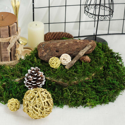 Preserved Moss, Preserved Reindeer Moss, Decorative Vase Fillers, Craft Moss, Green Moss#color_parent