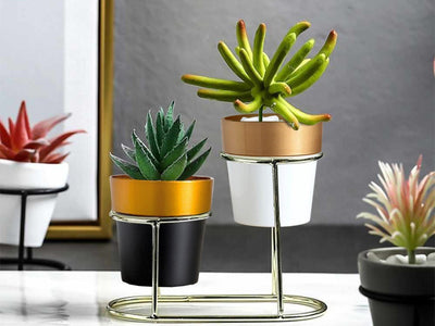 Where Can I Buy Inexpensive Plant Pots?