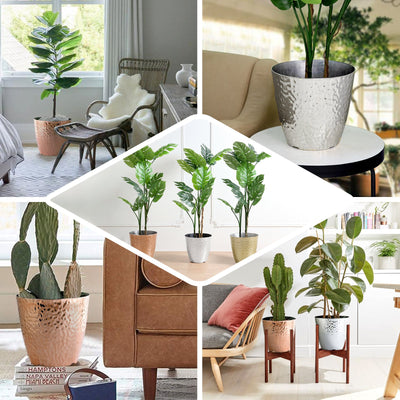 Which Pots Are Best For Plants?