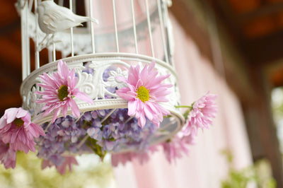 Freshen Up Your Home With Enchanting Spring Decor Ideas