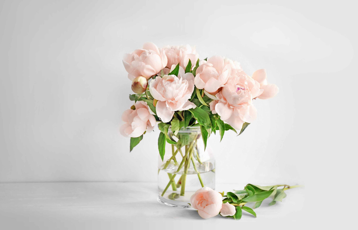 Single Stem Flowers, Artificial Flower Stems, Silk Flower Stems