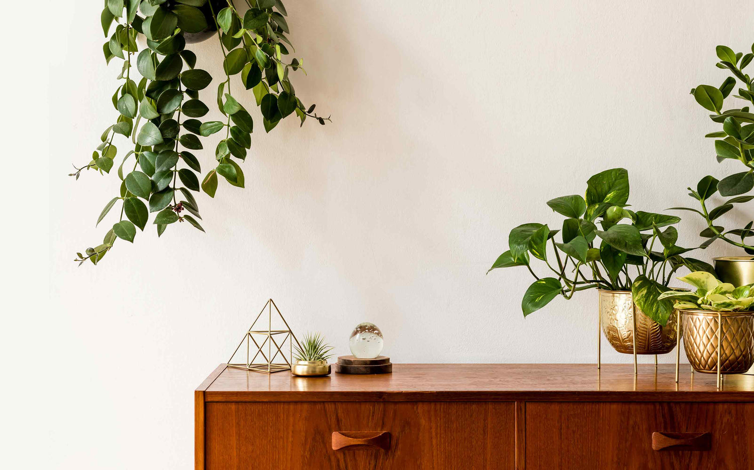 Wall Planters, Wall Mounted Planters Indoor