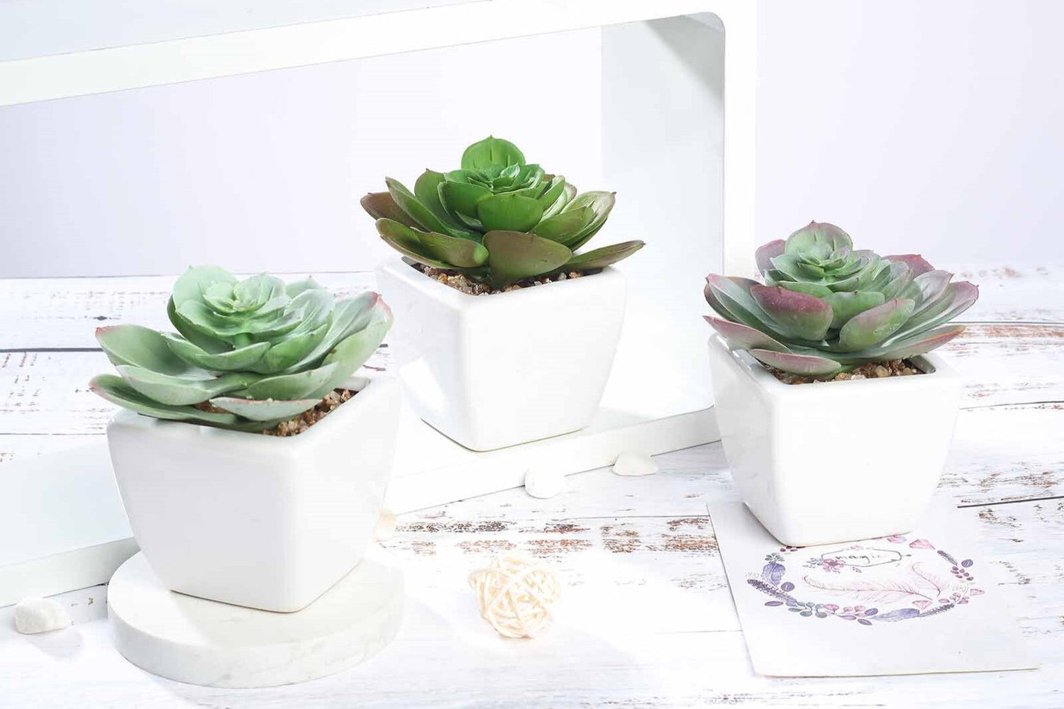 Succulents, Artificial Succulents, Faux Succulents