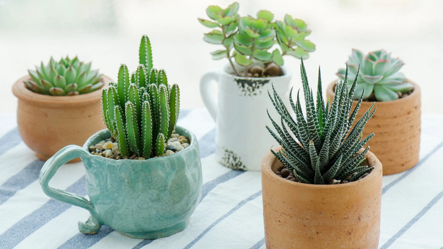 Succulents, Greenery, Mini Succulents, Artificial Succulents