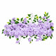 Lavender Lilac
