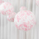 White | Pink
