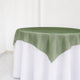 Dusty Sage Green