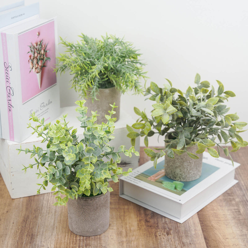 3 Plant Set Mini Potted Artificial Eucalyptus, Rosemary & Boxwood Faux Planter Collection 9