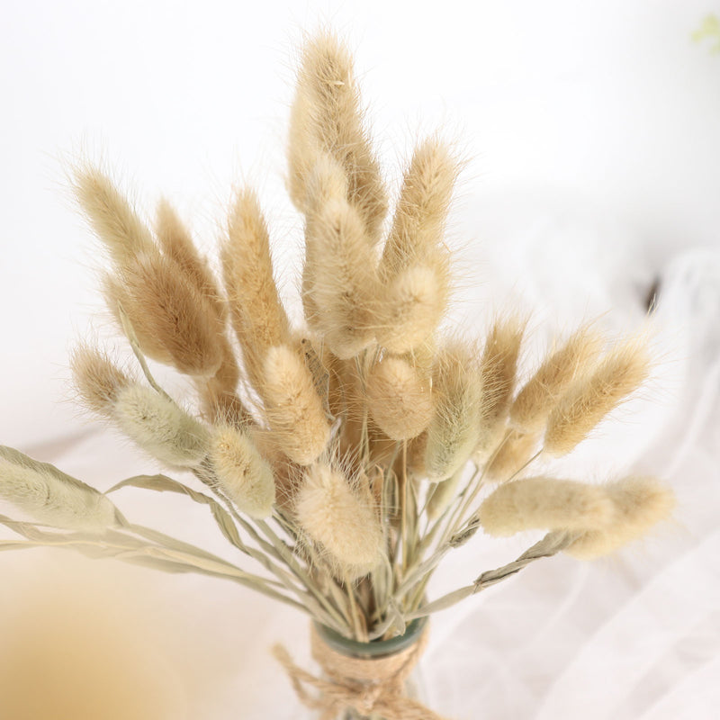 50 Pack Rabbit Tail Dried Pampas Grass Flower Bouquets, Boho Stem Arrangements 15