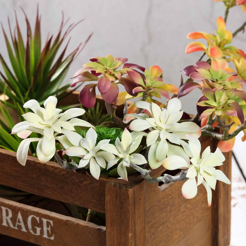 3 Pack Assorted Artificial Aeonium Spray Succulent Air Plants 18