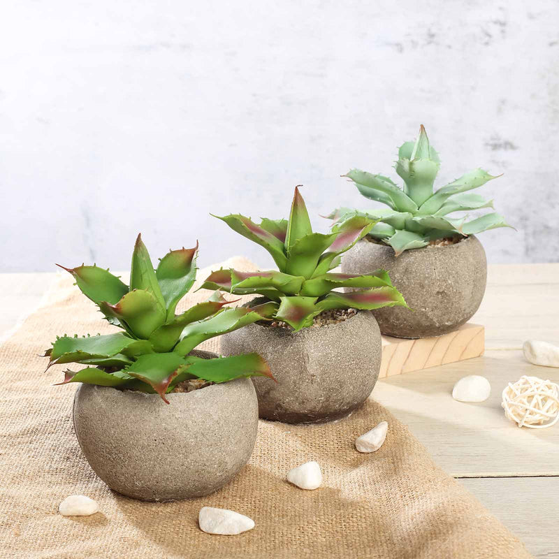 3 Pack Ceramic Planter Pot & Artificial Aloe Succulent Plants 5