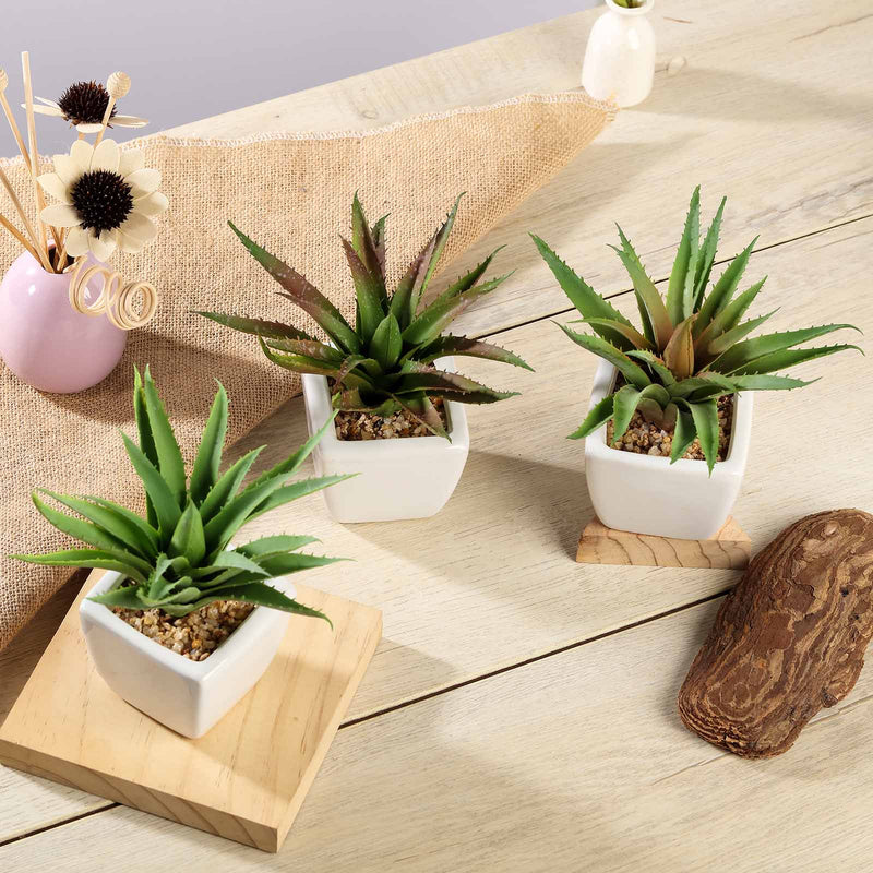 3 Pack Ceramic Planter Pot and Artificial Spot Aloe Succulent Plant 5