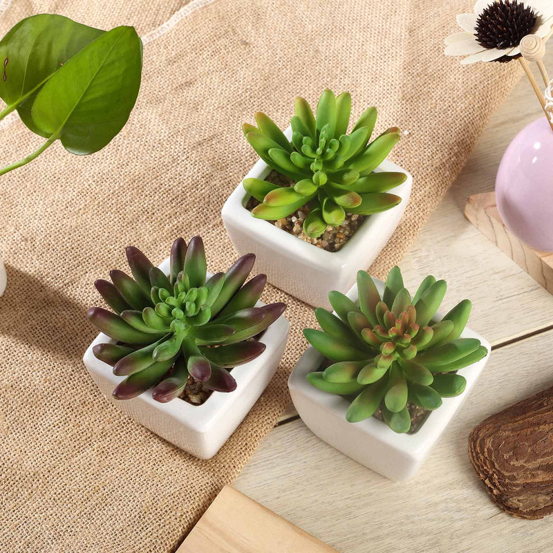 3 Pack Ceramic Planter Pot and Artificial Lotus Succulent Plants 4
