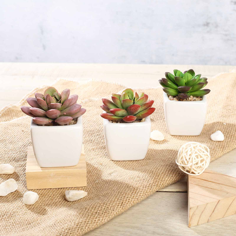 3 Pack Ceramic Planter Pot & Artificial Echeveria Elegans Plants 3