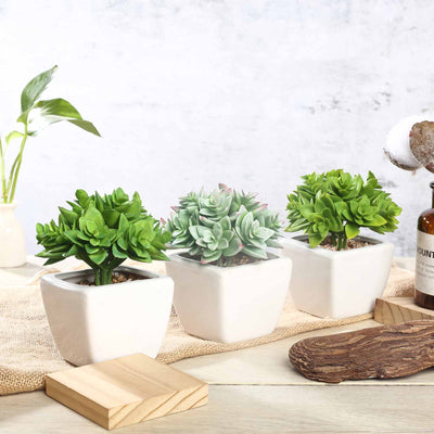 artificial succulents in white pots 3-Pack Echeveria Artificial Succulents In Ceramic Pot 4" Green