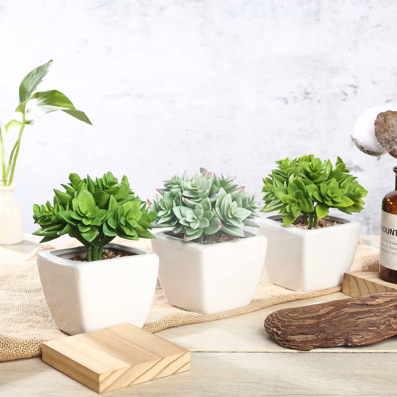 3 Pack Ceramic Planter Pot & Green Artificial Echeveria Plants 4