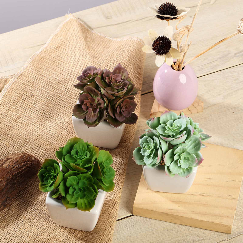 3 Pack Ceramic Planter Pot and Artificial Echeveria Elegans Plants 5