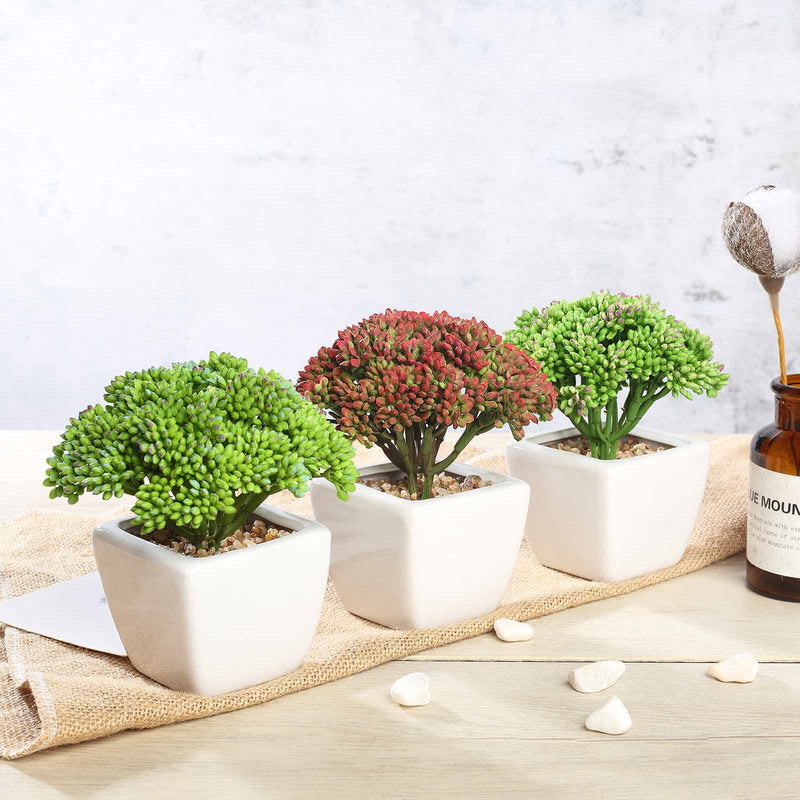 3 Pack Ceramic Planter Pot & Artificial Joy Sedum Succulent Plant 6