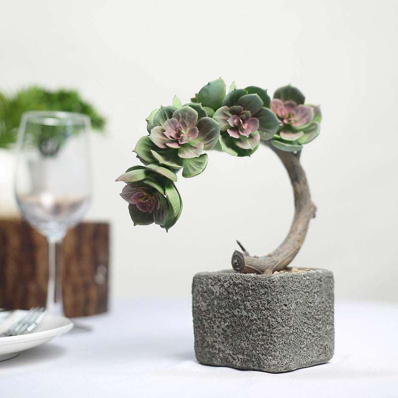 Concrete Planter Pot, Artificial Perle Von Nurnberg Succulent Plant 8