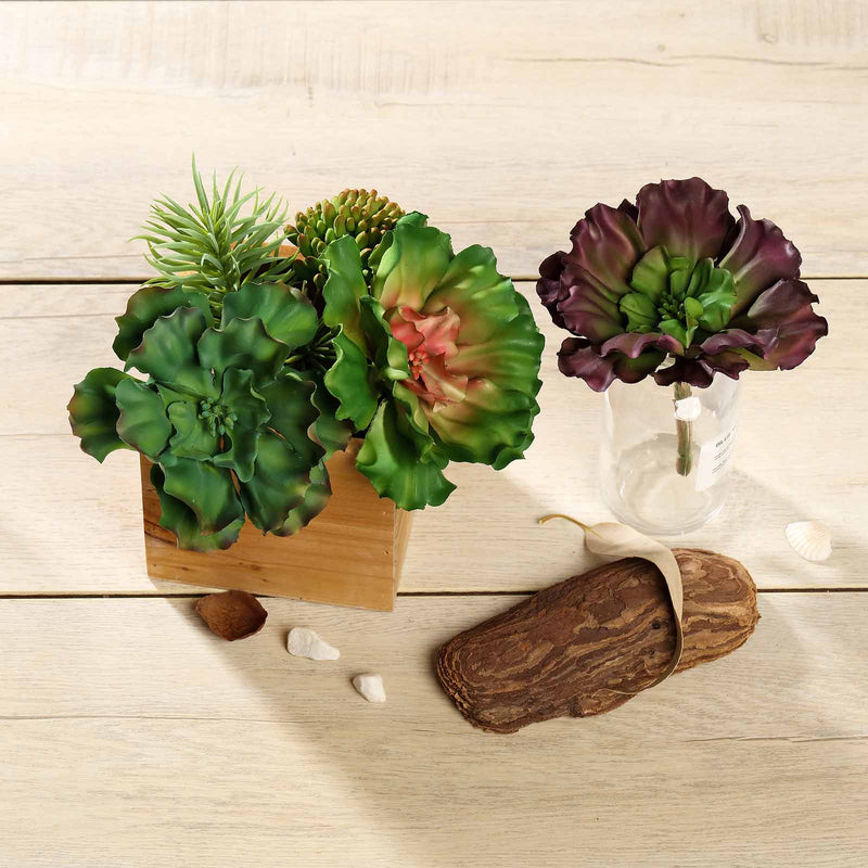 3 Pack Artificial PVC Wavy Kalanchoe Decorative Succulent Plants 6
