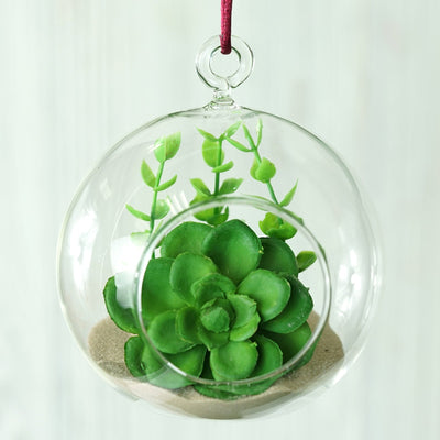 hanging glass terrarium, hanging succulent planter, air plant holder, glass plant holder, air plant terrarium#color_parent
