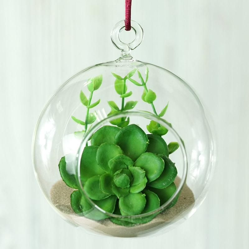 4 Pack Air Plant Hanging Glass Globe Terrarium, Free-Falling Elegant Planter 4