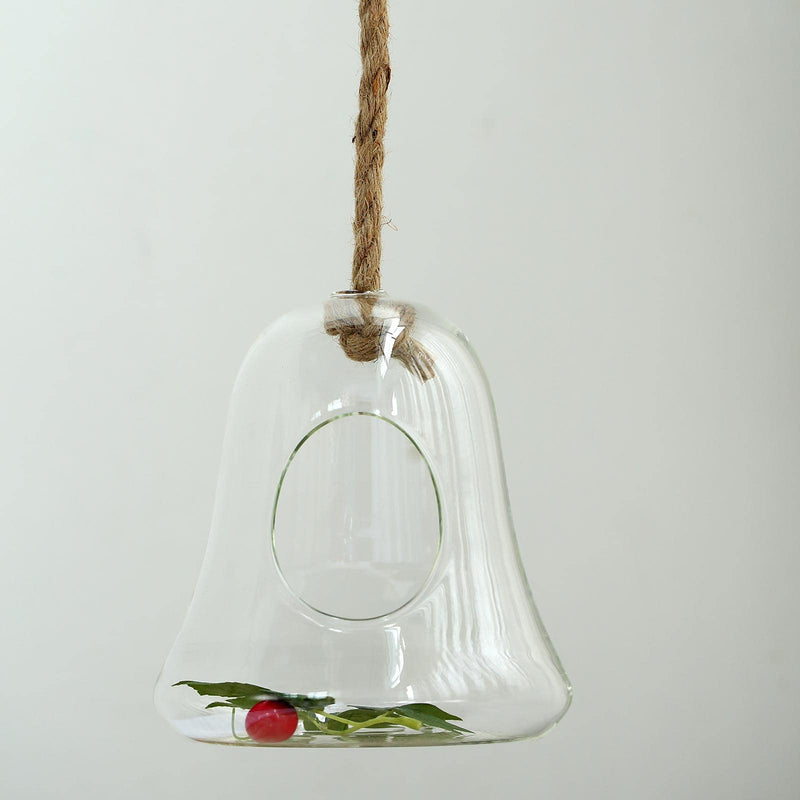 Air Plant Hanging Glass Bell Shaped Terrarium With Twine Rope, Free-Falling Planter 9