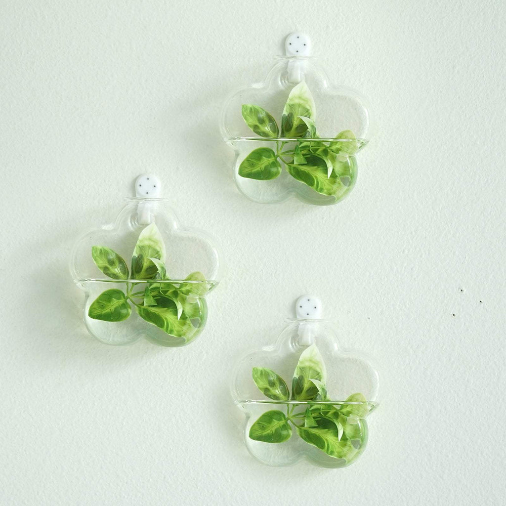 glass wall planters 3 Pack Flower Shaped Glass Wall Vase - Indoor Wall Mounted Planters