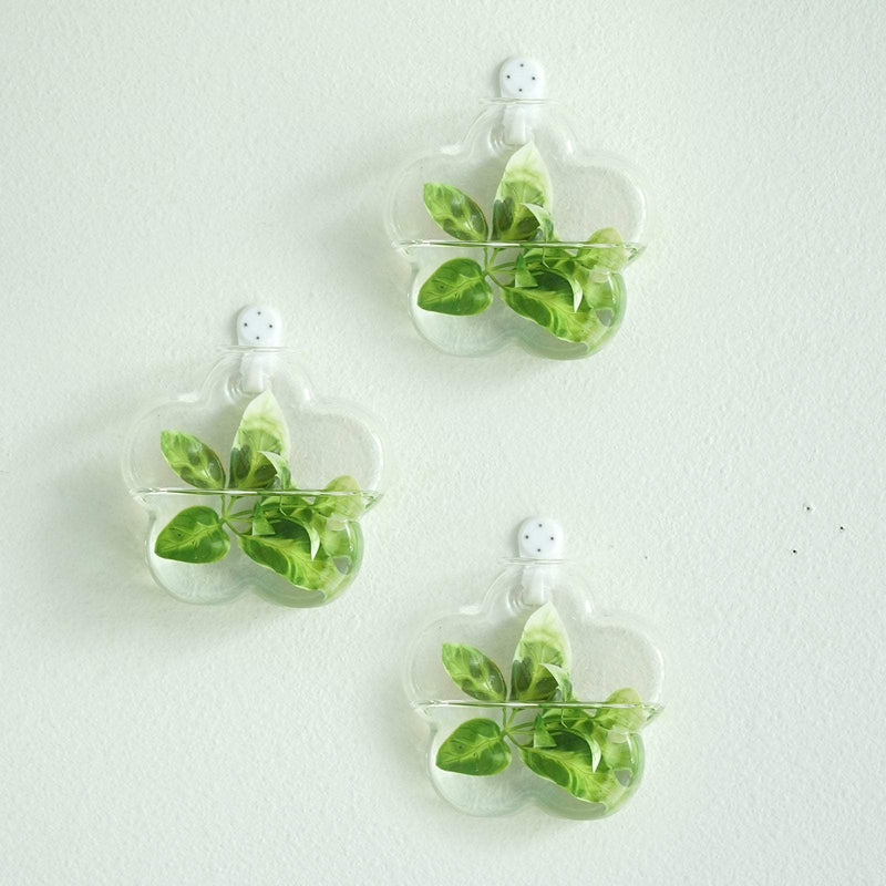 3 Pack Flower Shaped Glass Wall Vase - Indoor Wall Mounted Planters - Hanging Terrariums