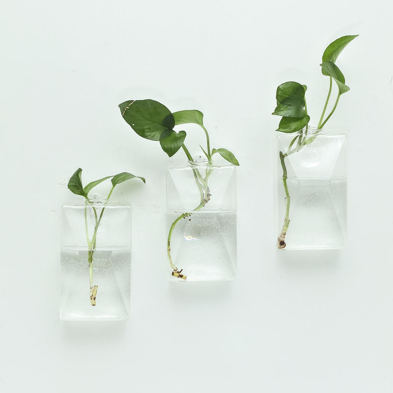 3 Pack Trapezoid Glass Wall Vase - Indoor Wall Mounted Planters - Hanging Terrariums