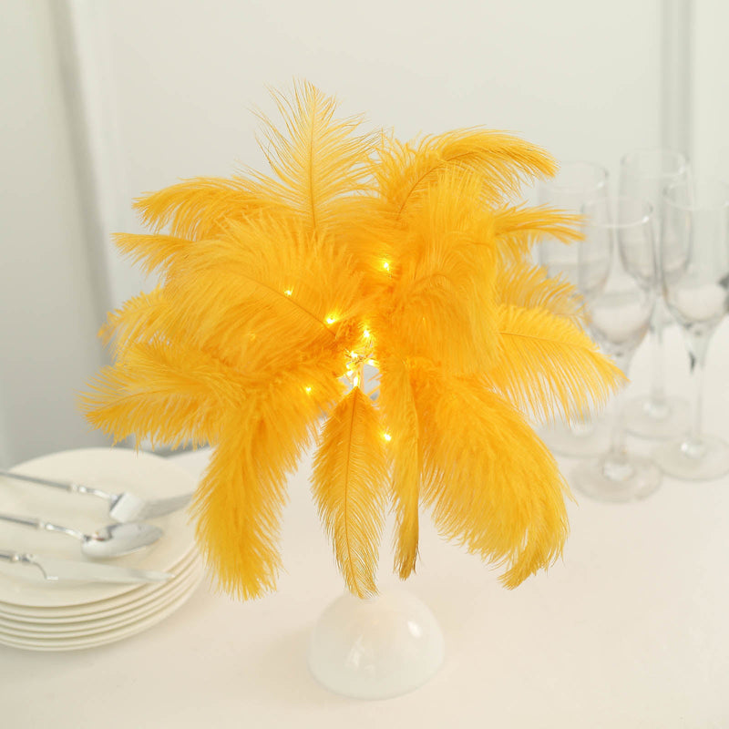LED Ostrich Feather Table Lamp Desk Light, Battery Operated Cordless Living Room/Bedroom Centerpiece 15
