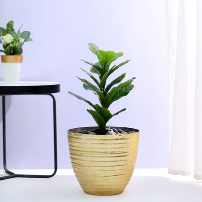 plant pot, large plant pots, floor planter, indoor plant pots, plastic plant pots#color_parent