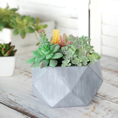 succulent planter, mini succulent pots, small succulent pots, cute succulent pots, cement plant pots#color_gray